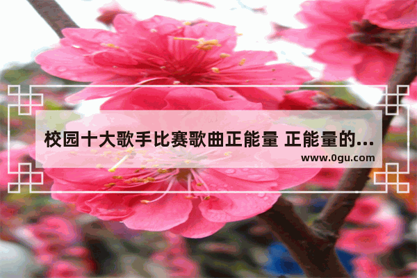 校园十大歌手比赛歌曲正能量 正能量的初中学生句子