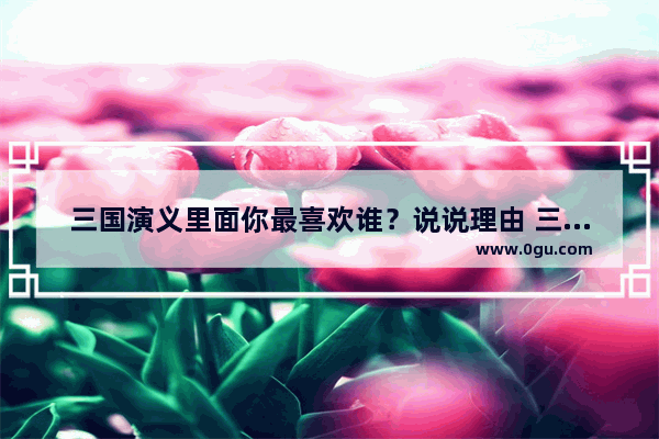 三国演义里面你最喜欢谁？说说理由 三国演义喜欢的句子