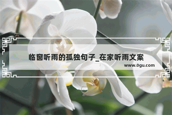 临窗听雨的孤独句子_在家听雨文案
