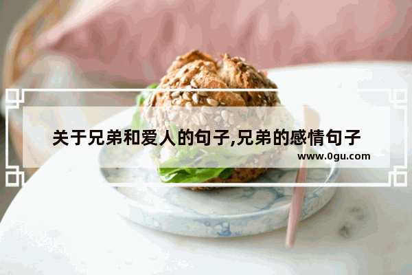 关于兄弟和爱人的句子,兄弟的感情句子