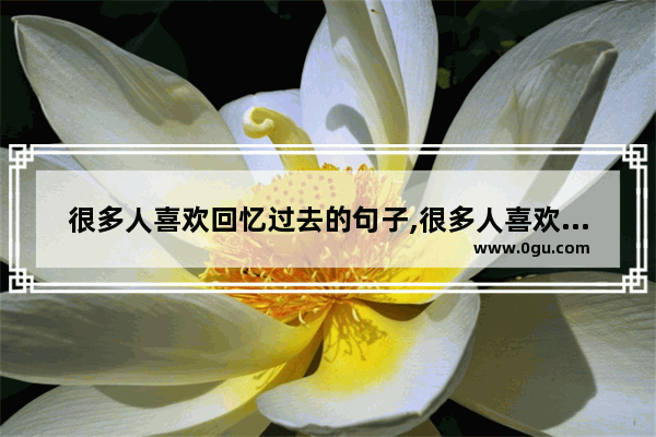 很多人喜欢回忆过去的句子,很多人喜欢回忆过去的句子