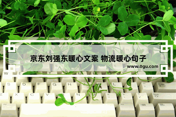 京东刘强东暖心文案 物流暖心句子