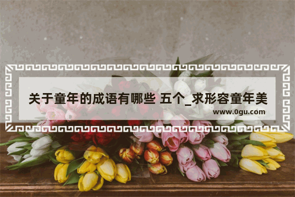 关于童年的成语有哪些 五个_求形容童年美好时光的词是四字词语 与岁月 年华有关