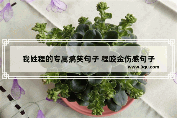 我姓程的专属搞笑句子 程咬金伤感句子