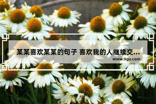 某某喜欢某某的句子 喜欢我的人继续交往的句子
