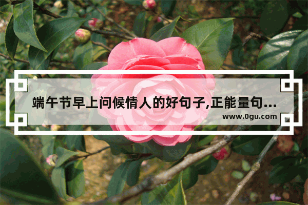 端午节早上问候情人的好句子,正能量句子早安语端午节