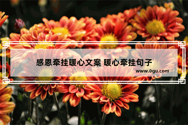 感恩牵挂暖心文案 暖心牵挂句子
