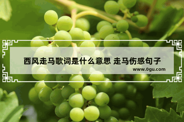 西风走马歌词是什么意思 走马伤感句子