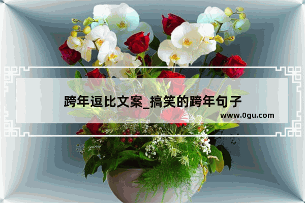 跨年逗比文案_搞笑的跨年句子