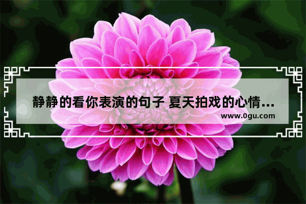 静静的看你表演的句子 夏天拍戏的心情说说句子