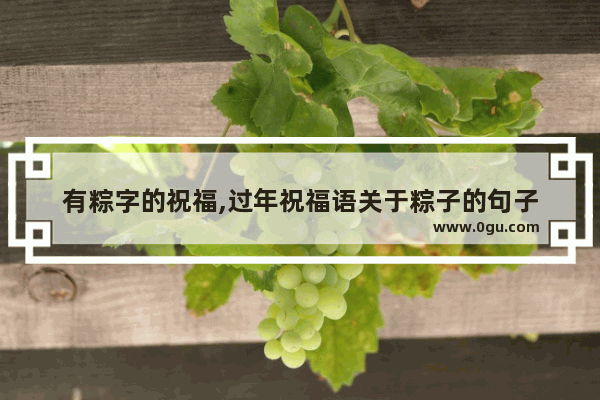 有粽字的祝福,过年祝福语关于粽子的句子