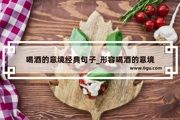 喝酒的意境经典句子_形容喝酒的意境