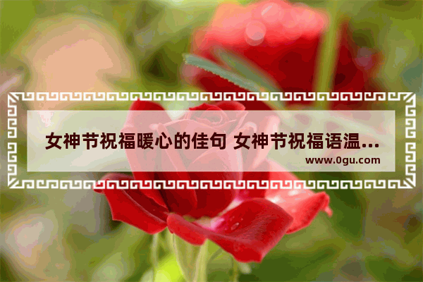 女神节祝福暖心的佳句 女神节祝福语温馨浪漫句子