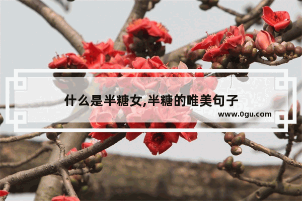 什么是半糖女,半糖的唯美句子