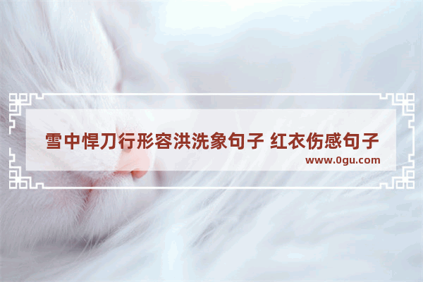 雪中悍刀行形容洪洗象句子 红衣伤感句子