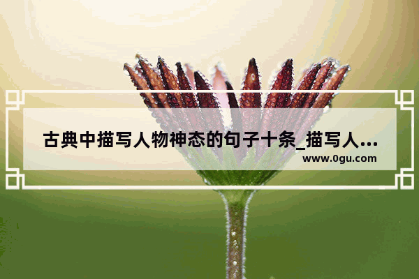 古典中描写人物神态的句子十条_描写人物外貌 神态的句段