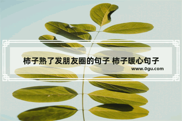 柿子熟了发朋友圈的句子 柿子暖心句子