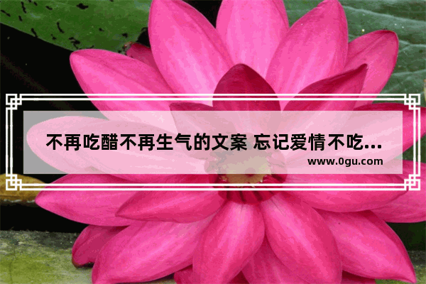 不再吃醋不再生气的文案 忘记爱情不吃醋的句子说说