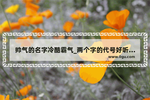 帅气的名字冷酷霸气_两个字的代号好听霸气的