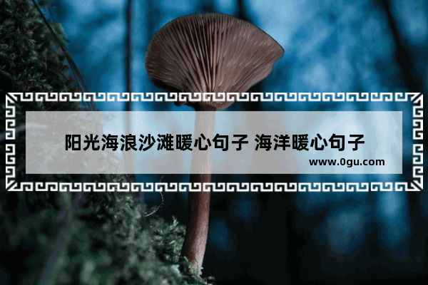 阳光海浪沙滩暖心句子 海洋暖心句子