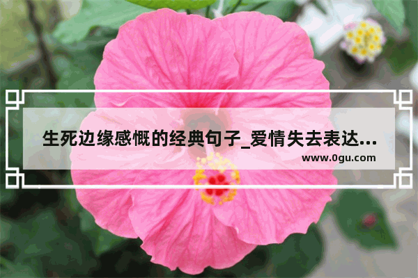 生死边缘感慨的经典句子_爱情失去表达痛苦的隐晦语录