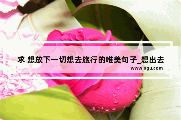 求 想放下一切想去旅行的唯美句子_想出去玩又出不去的文案