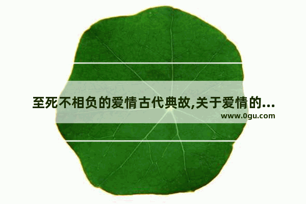 至死不相负的爱情古代典故,关于爱情的浪漫传说句子