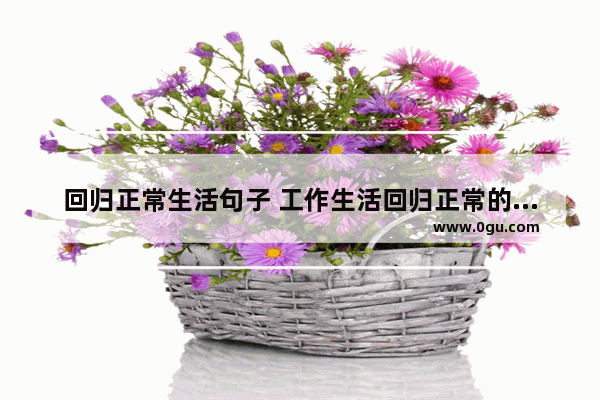 回归正常生活句子 工作生活回归正常的句子