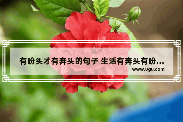 有盼头才有奔头的句子 生活有奔头有盼头的句子