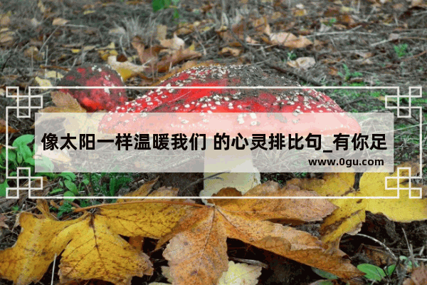 像太阳一样温暖我们 的心灵排比句_有你足矣暖心经典短句