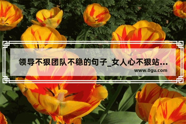 领导不狠团队不稳的句子_女人心不狠站不稳的句子