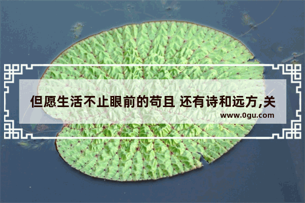 但愿生活不止眼前的苟且 还有诗和远方,关于爱情类的句子文艺风