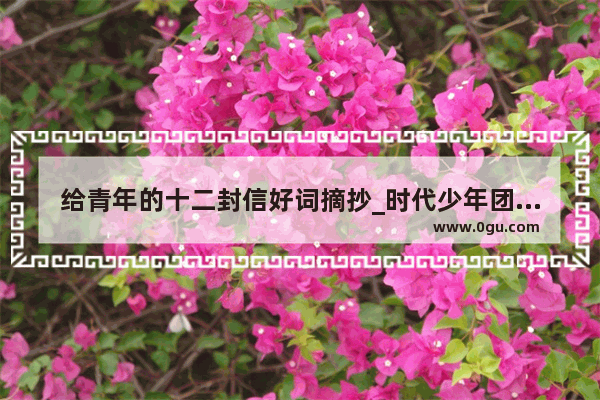 给青年的十二封信好词摘抄_时代少年团作文开头结尾神仙句子
