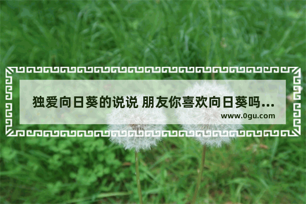 独爱向日葵的说说 朋友你喜欢向日葵吗写句子