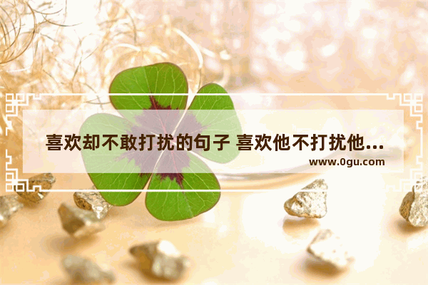 喜欢却不敢打扰的句子 喜欢他不打扰他的说说句子