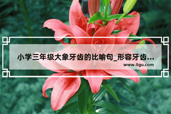 小学三年级大象牙齿的比喻句_形容牙齿的成语有哪些