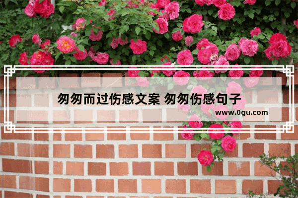 匆匆而过伤感文案 匆匆伤感句子
