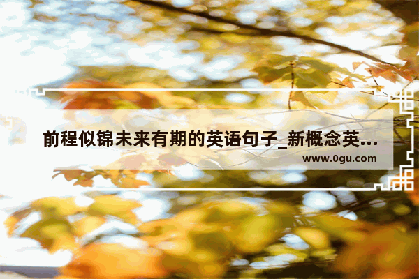 前程似锦未来有期的英语句子_新概念英语课程结束祝福语