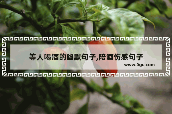 等人喝酒的幽默句子,陪酒伤感句子