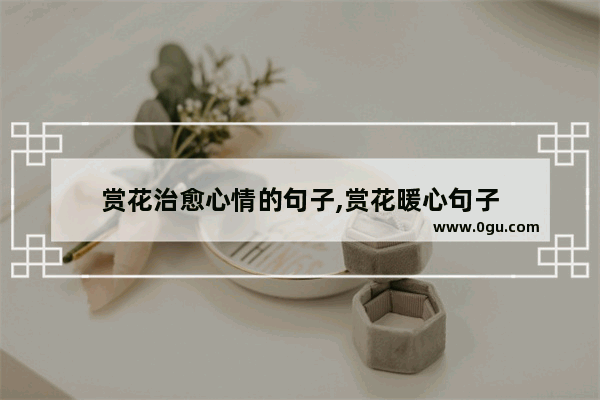 赏花治愈心情的句子,赏花暖心句子