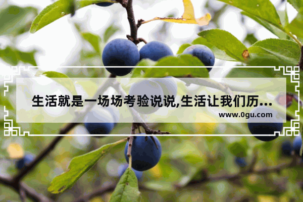 生活就是一场场考验说说,生活让我们历经苦恼的句子