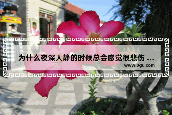 为什么夜深人静的时候总会感觉很悲伤 时间过得快伤感的句子