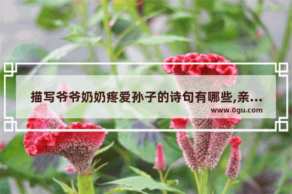 描写爷爷奶奶疼爱孙子的诗句有哪些,亲人百日祭祀悼念句子