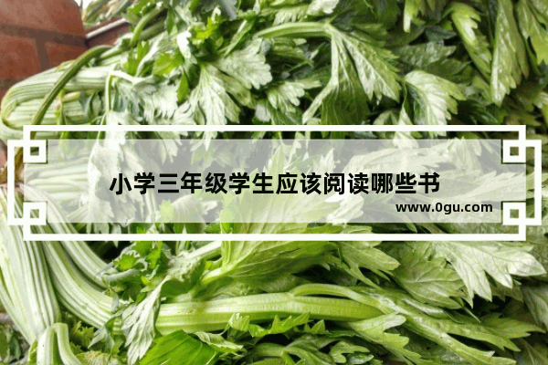 小学三年级学生应该阅读哪些书