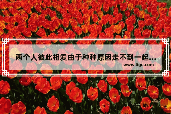 两个人彼此相爱由于种种原因走不到一起 也接受不了别人 咋办