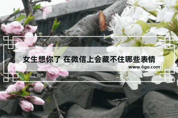 女生想你了 在微信上会藏不住哪些表情