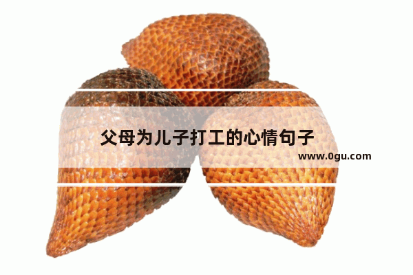 父母为儿子打工的心情句子