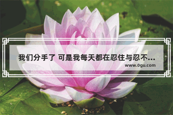 我们分手了 可是我每天都在忍住与忍不住联系他之间徘徊 非常痛苦 该怎么办