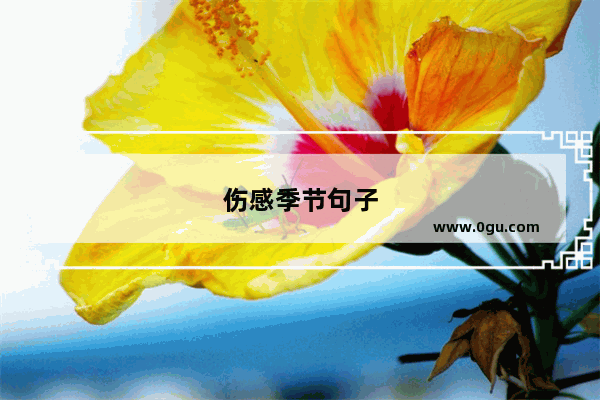 伤感季节句子