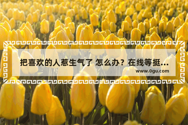 把喜欢的人惹生气了 怎么办？在线等挺急的